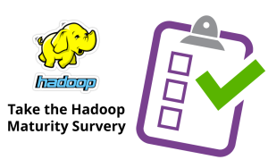 große_Hadoop_Gipfel_2015_Umfrage