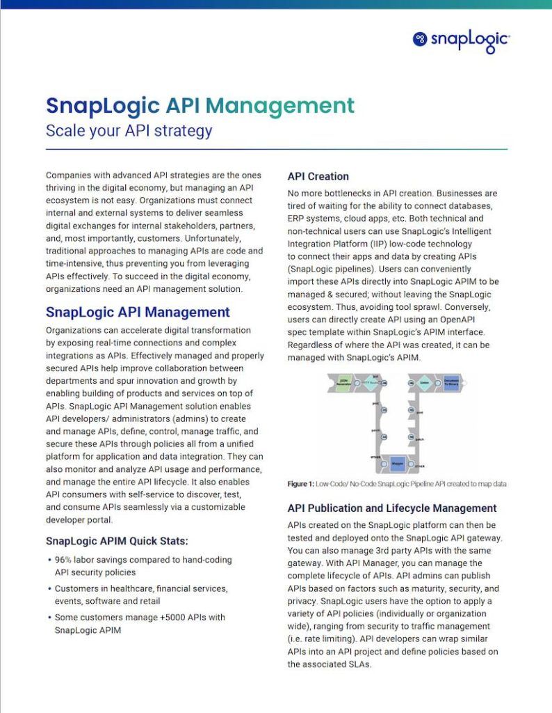 SnapLogic API Management data sheet preview