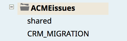 Figure 11 : Le projet CRM_MIGRATION copié automatiquement, tel qu'il apparaît dans l'espace des problèmes de l'organisation Développement.