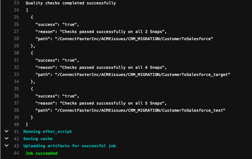 Figure 13: The runChecks job in the pipeline - this time successful