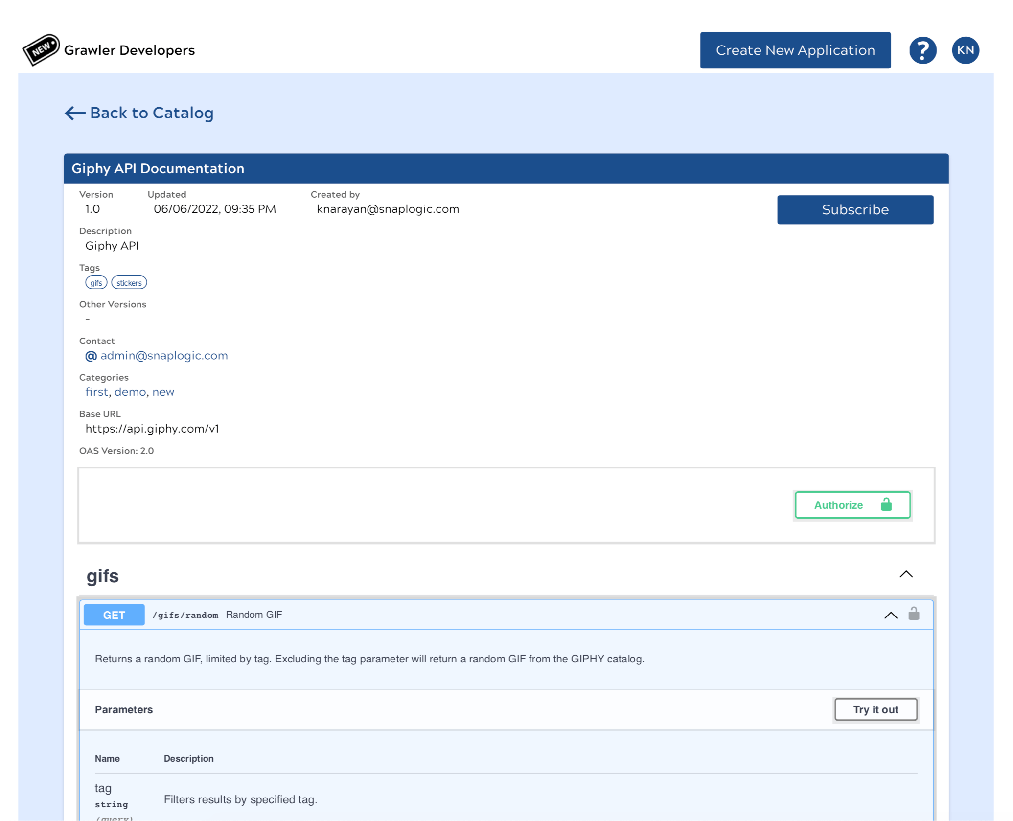 Figure 3: 3rd party API details in the Developer Portal