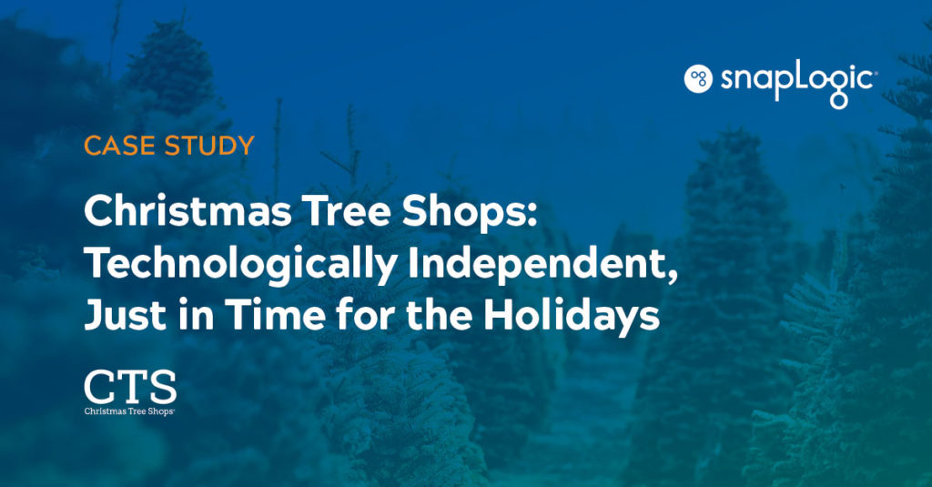 Christmas Tree Shops: Technologically Independent, Just in Time for the Holidays case study featured image