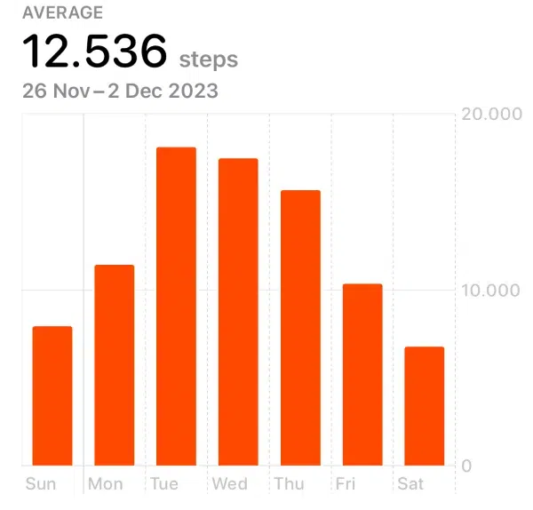 Dominic Wellington's 2023 reInvent step count