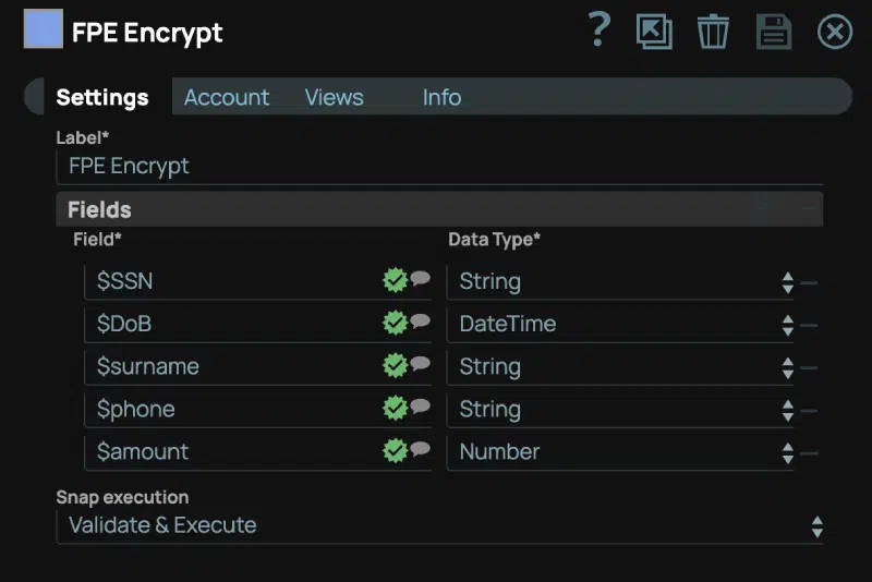 FPE Encrypt Snap Settings page: Select fields to be encrypted, and choose the associated data types