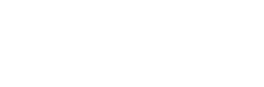 Logo Allot in bianco